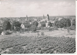 Zielona Góra panorama - 049008