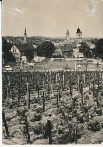 Zielona Góra panorama - 049011