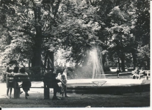 Żary park - 049020