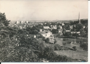Gdańsk Oliwa widok ogólny - 049127