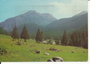 Tatry Polana Chochołowska - 049133