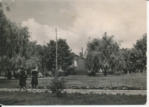 Międzyrzec Podlaski skwer miejski - 049213