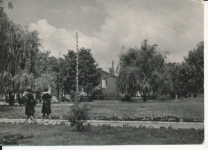Międzyrzec Podlaski skwer miejski - 049214