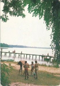 Karpicko jezioro Wolsztyńskie - 049244