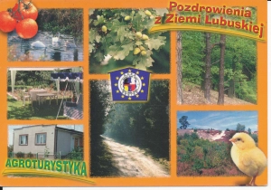 Ziemia Lubuska widokowa - 049246