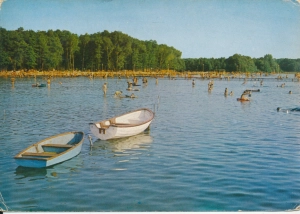 Skorzęcin ośrodek wypoczynkowy - 049260