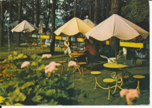 Niesulice ośrodek wypoczynkowy - 049267