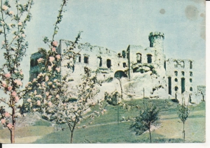 Ogrodzieniec ruiny zamku - 049299