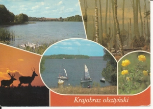 Krajobraz Olsztyński widokowa - 049346