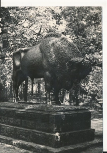 Spała Żubr - 049390