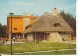Płotki Gościniec Rębajło - 049518