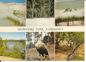 Słoeiński Park Narodowy - 049539
