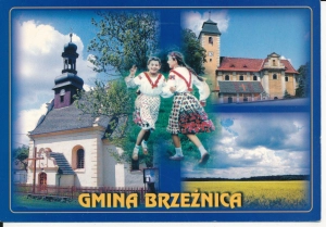 Gmina Brzeźnica widokowa - 049577