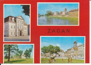 Żagań widoki widokowa - 049647