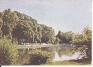 Kielce fragment parku - 049699