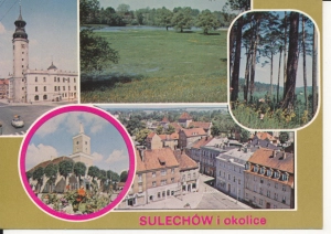 Sulechów widoki widokowa - 049830