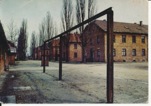 Auschwitz Oświęcim obóz - 049831
