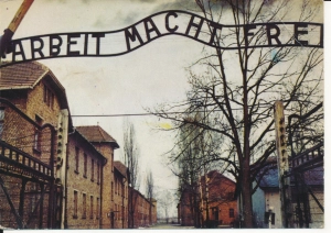 Auschwitz Oświęcim obóz - 049833