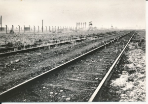 Auschwitz Oświęcim Brzezinka - 049835