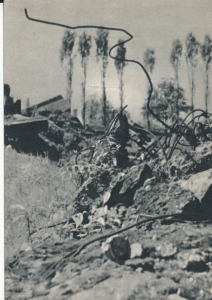 Auschwitz Oświęcim Brzezinka - 049836