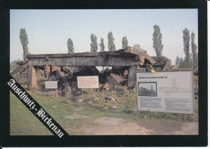 Auschwitz Oświęcim Brzezinka - 049846
