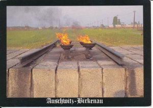 Auschwitz Oświęcim Brzezinka - 049847