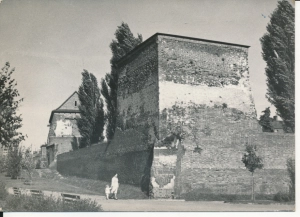 Łęczyca Zamek - 049910