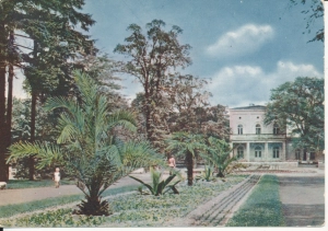 Inowrocław park zdrojowy - 049914