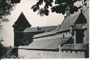 Malbork mury obronne zamku - 050007