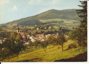 Mszana Dolna panorama - 050070