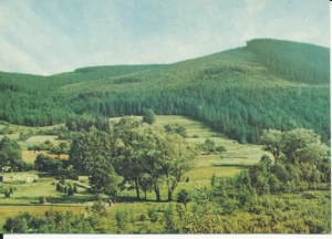 Szczyrk krajobraz - 050105
