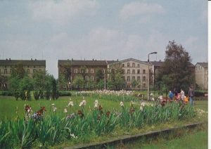 Sosnowiec ul. Czerwonego Zagłębia - 050229