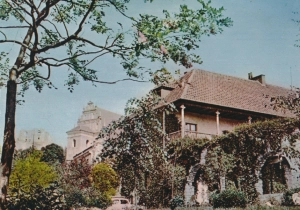 Kazimierz Dolny - 050256