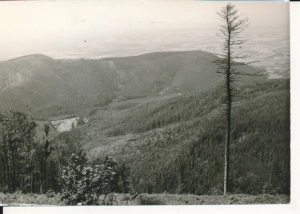 Beskid Śląski widok z Szyndzielni - 050360