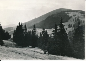 Beskid Żywiecki - 050362