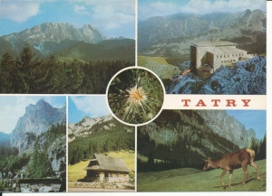 Tatry widokowa 18x13cm - 050578d
