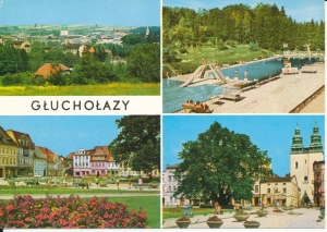 Głuchołazy widoki widokowa - 050631