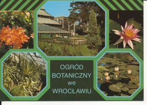 Wrocław Ogród Botaniczny - 050794