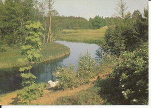 Pojezierze Suwalskie Czarna Hańcza - 050883