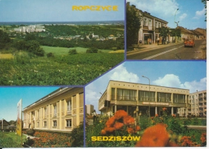 Ropczyce Sędziszów widokowa - 050916