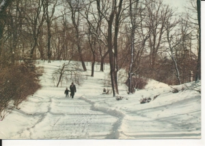 Warszawa Łazienki park - 051017