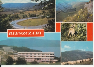 Bieszczady widoki widokowa - 051030