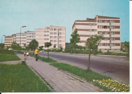 IMG_0175.jpg