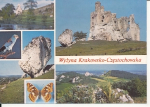 Wyżyna Krakowsko Częstochowska - 051212