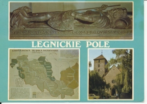 Legnickie Pole widokowa - 051251