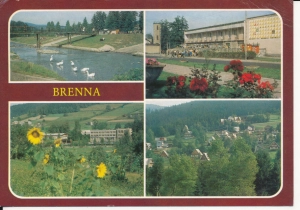 Brenna widoki widokowa - 051423