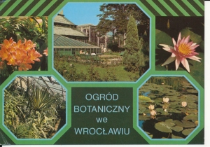 Wrocław ogród botaniczny - 051440