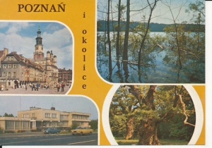Poznań widoki widokowa - 051461