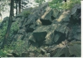 IMG_0081.jpg