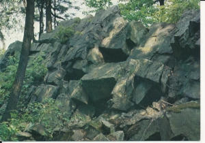 Świętokrzyski Park Narodowy - 051466